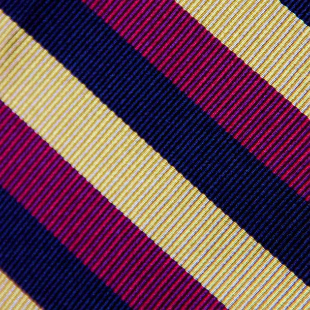 royal hussars tie