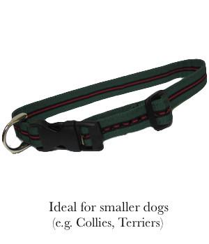 The Royal Yorkshire Regiment Dog Collar Dog Collar The Regimental Shop   