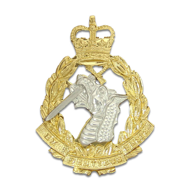 Royal Army Dental Corps Beret Badge Beret Badge The Regimental Shop Gold/Silver One Size 
