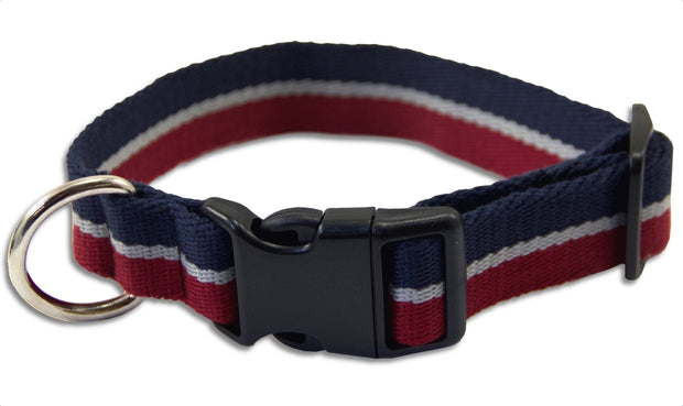 Royal Air Force (RAF) Wide Dog Collar Dog Collar - Wide The Regimental Shop   