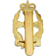 Queen Alexandra's Royal Army Nursing Corps QARANC Beret Badge