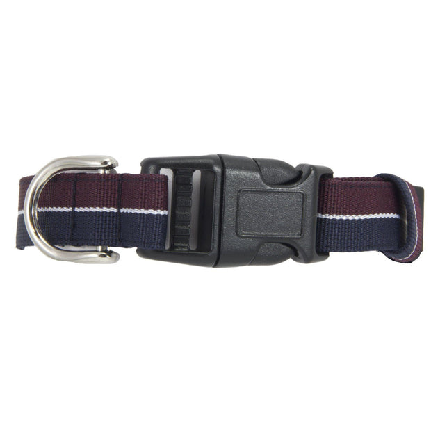 Queen's Dragoon Guards Dog Collar Dog Collar The Regimental Shop   
