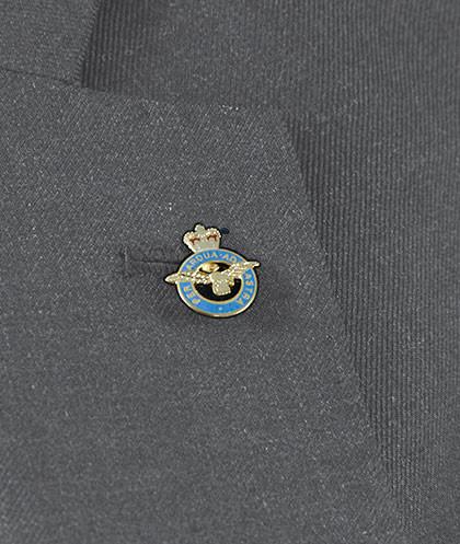 Royal Air Force (RAF) Lapel Badge Lapel badge The Regimental Shop Gold/Blue one size fits all 
