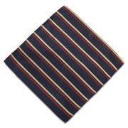 2nd Battalion Royal Anglian Silk Pocket Square Pocket Square The Regimental Shop   