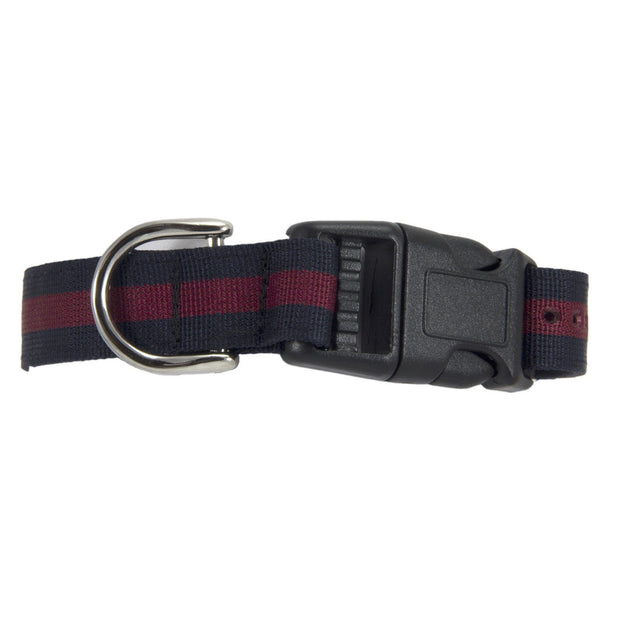 Household Division Dog Collar Dog Collar The Regimental Shop Small - Up to 13" (33cm) maroon/navy 
