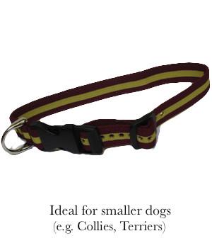 Royal Regiment of Fusiliers Dog Collar Dog Collar The Regimental Shop   