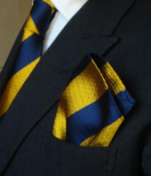 Princess of Wales's Royal Regiment Silk Non Crease Pocket Square Pocket Square The Regimental Shop   
