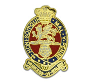 Princess of Wales's Royal Regiment Regimental Lapel Badge Lapel badge The Regimental Shop Gold/Red/Blue 2 x 1.5cm 