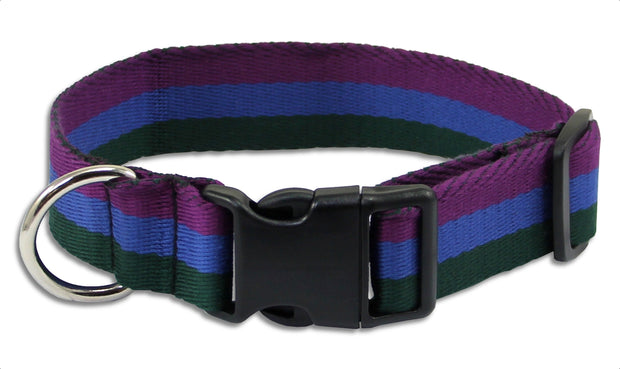 Royal Regiment of Scotland Wide Dog Collar Dog Collar - Wide The Regimental Shop   